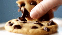 cookie-melted-chocolate-70464